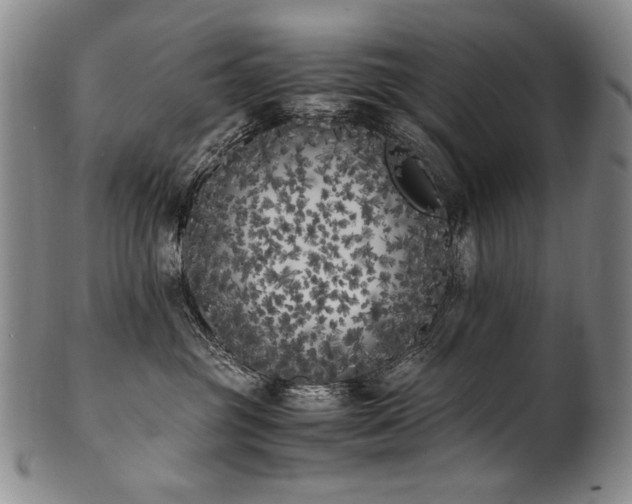 X0000102470381200808081256