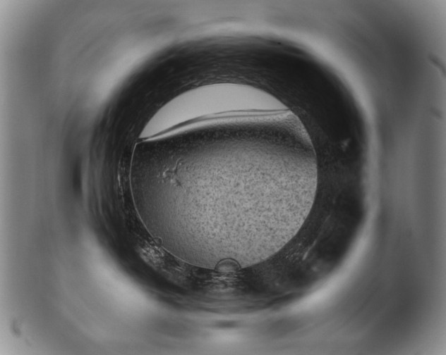 X0000102470382200808081256