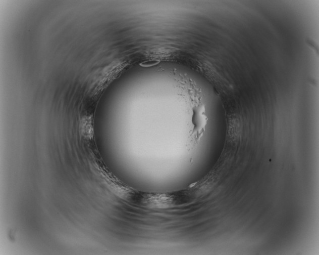 X0000102470383200808081256
