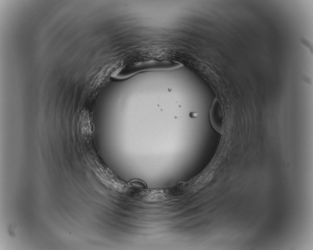 X0000102470384200808081256