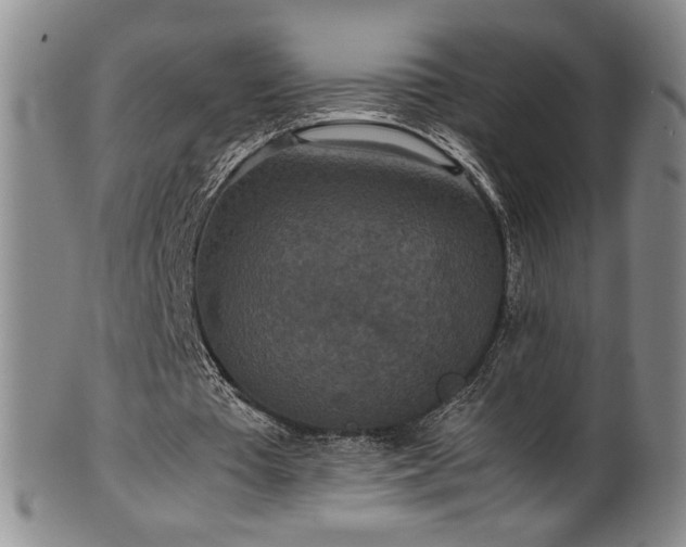 X0000102470385200808081255