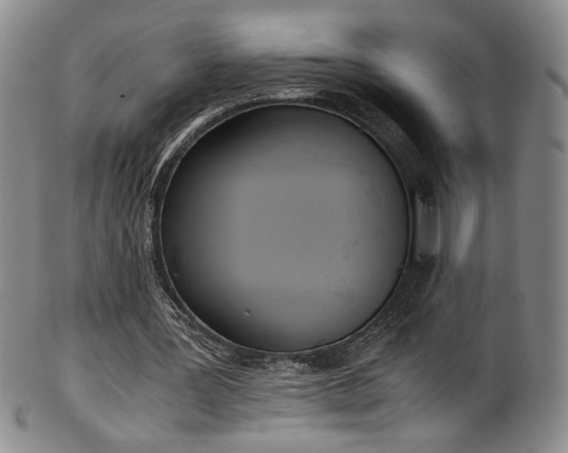X0000102470387200808081255