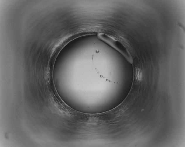 X0000102470388200808081255
