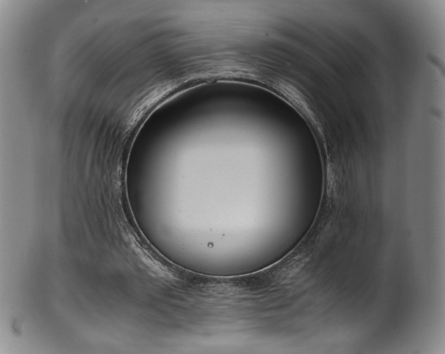 X0000102470389200808081255