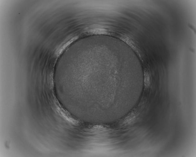 X0000102470390200808081255