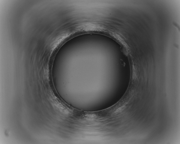X0000102470391200808081255