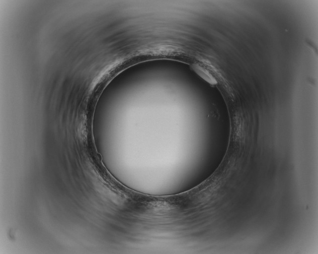 X0000102470392200808081255