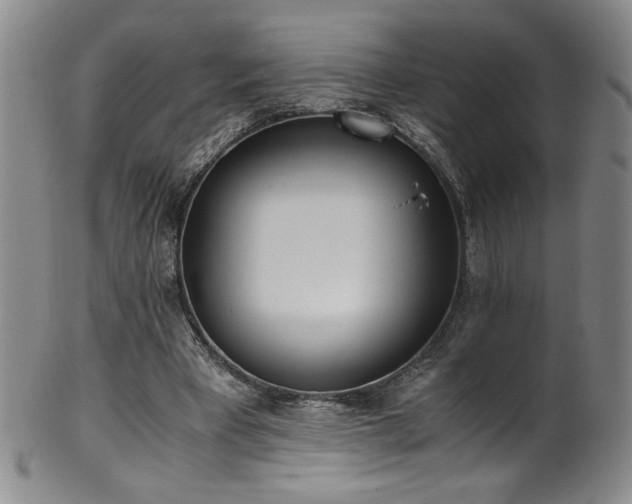 X0000102470393200808081255