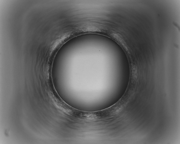 X0000102470395200808081255