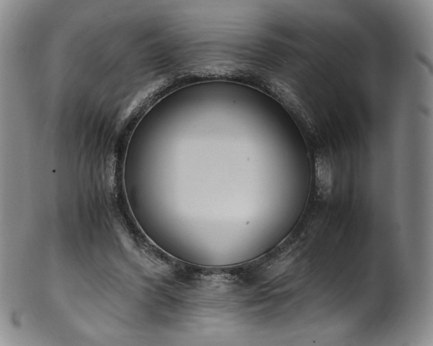 X0000102470396200808081255