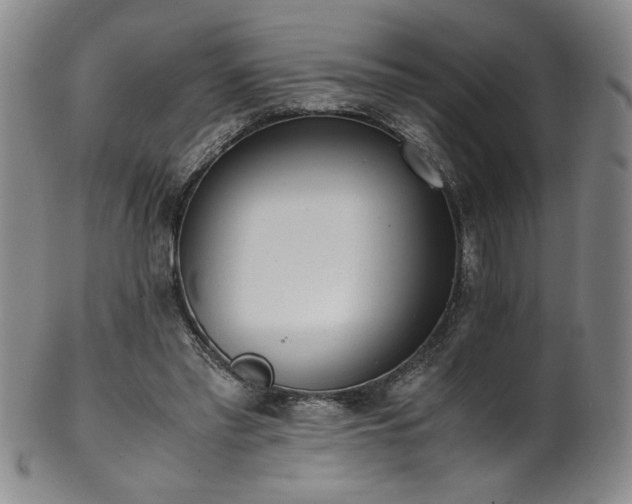 X0000102470397200808081255
