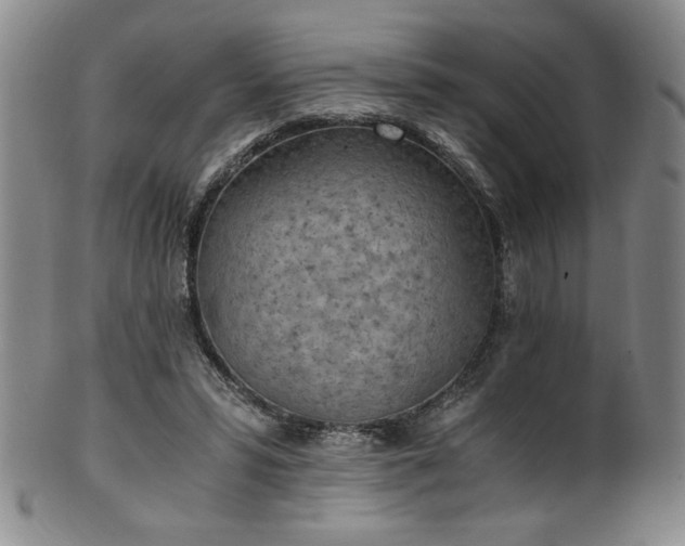 X0000102470399200808081255