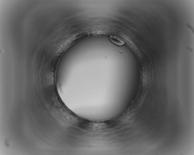 X0000102470401200808081255