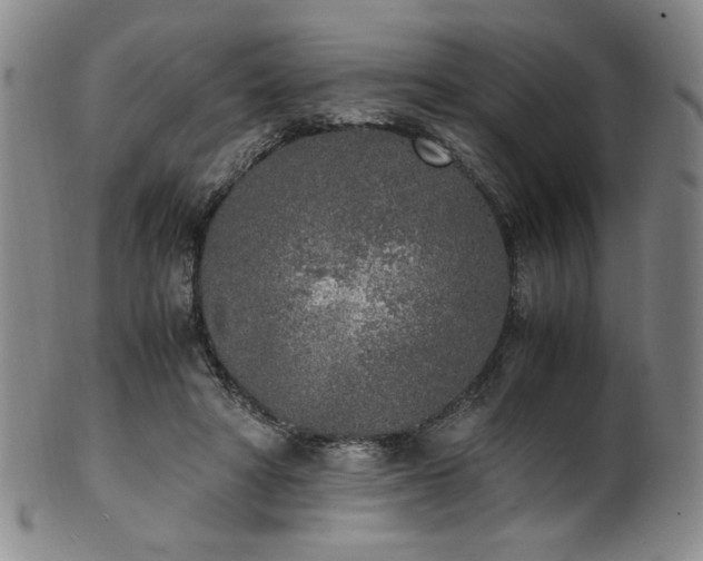 X0000102470402200808081255