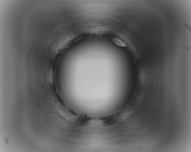 X0000102470403200808081255