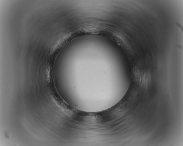 X0000102470404200808081255
