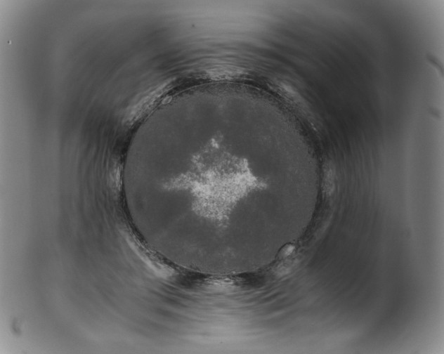 X0000102470405200808081255