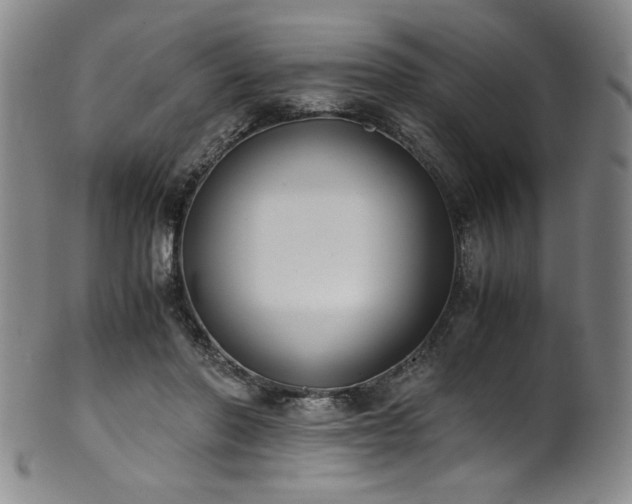 X0000102470406200808081255