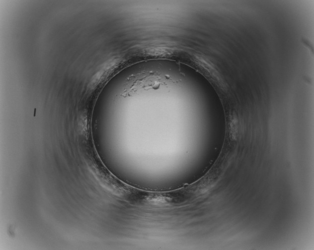 X0000102470407200808081255