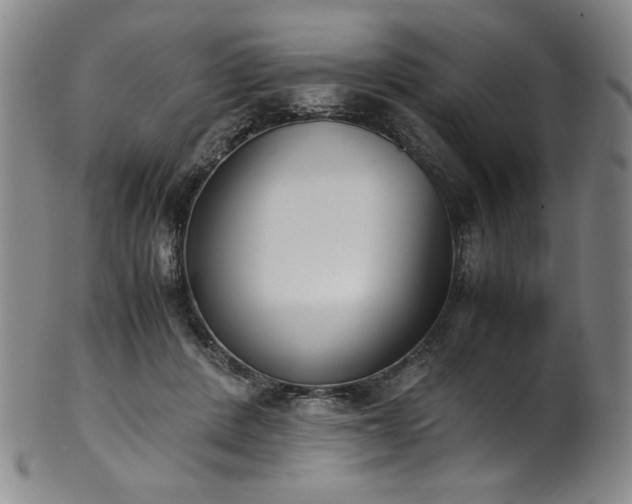 X0000102470408200808081255