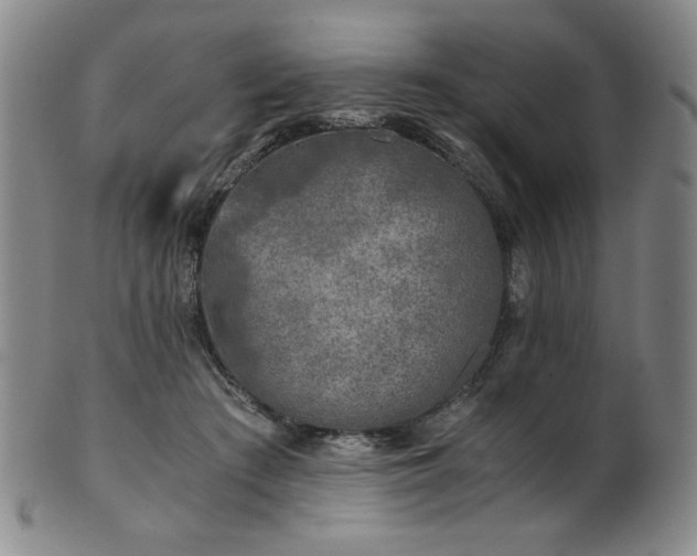 X0000102470409200808081255