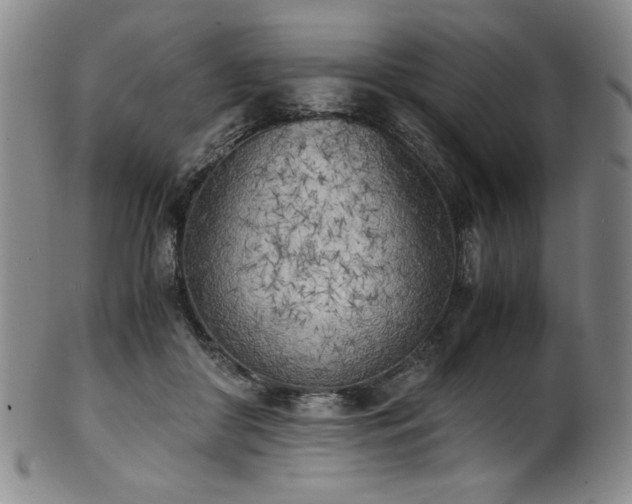 X0000102470410200808081255