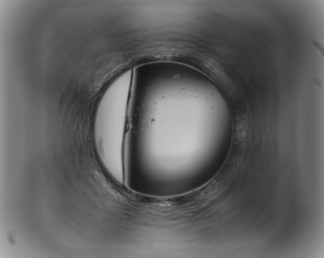 X0000102470411200808081255