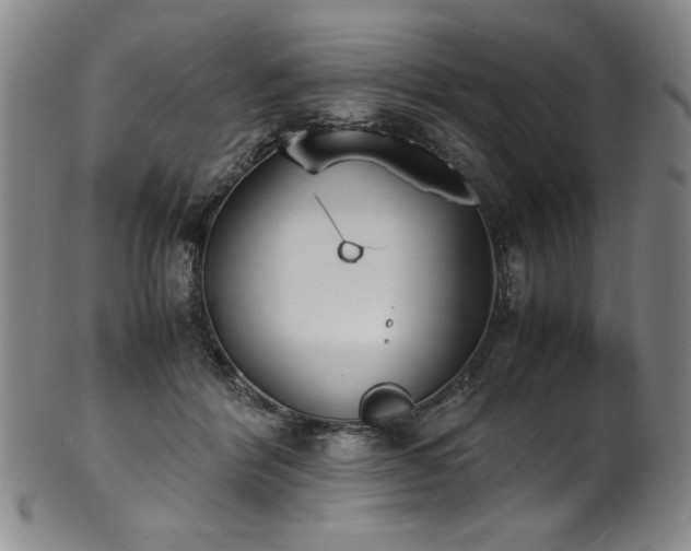 X0000102470412200808081255