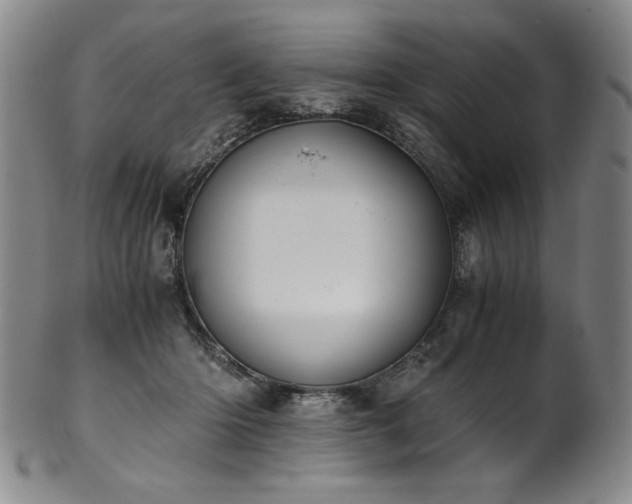 X0000102470414200808081255