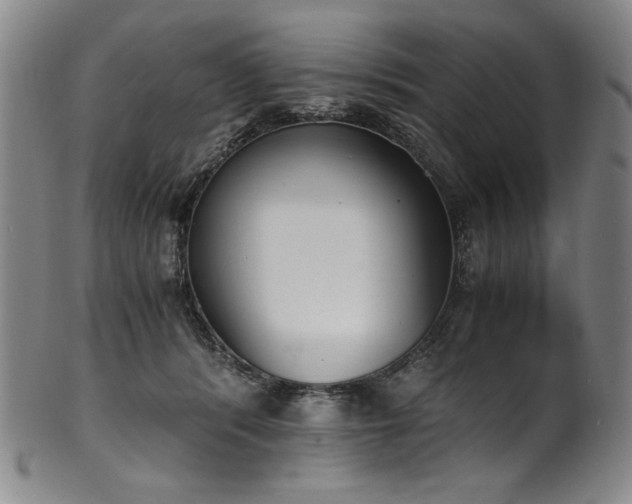 X0000102470416200808081255