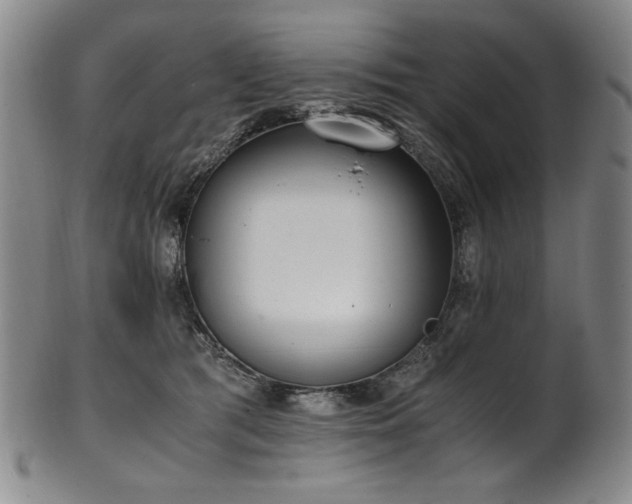 X0000102470417200808081255