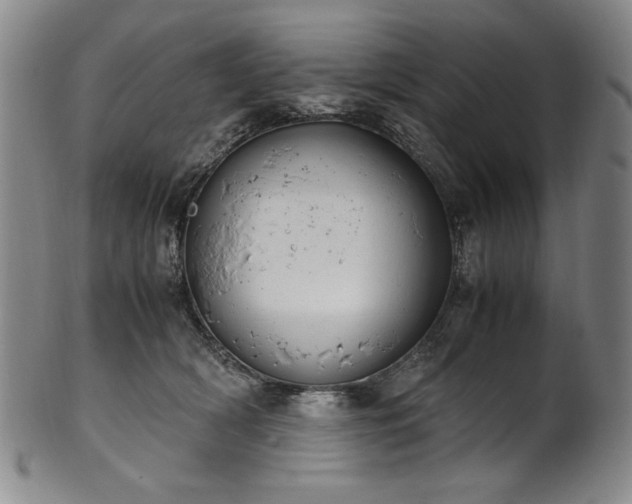 X0000102470418200808081255