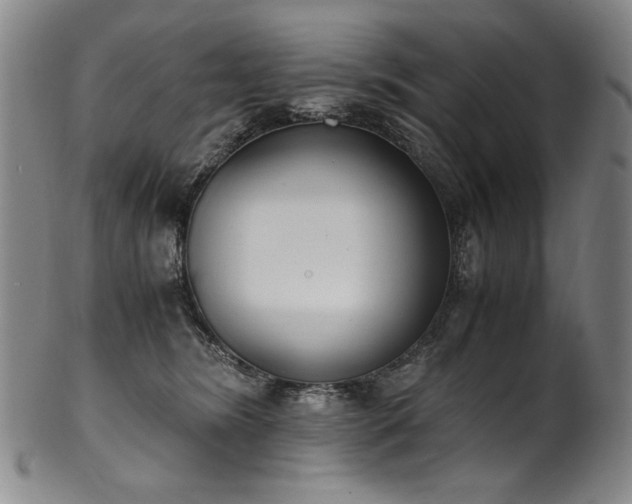 X0000102470420200808081255