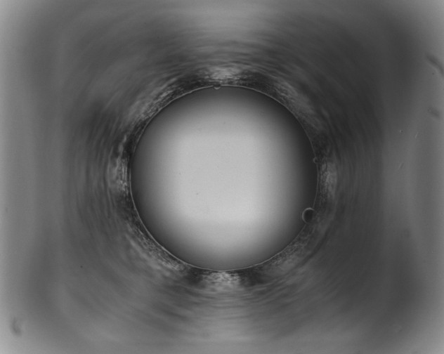 X0000102470421200808081255