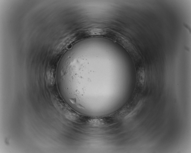 X0000102470422200808081255