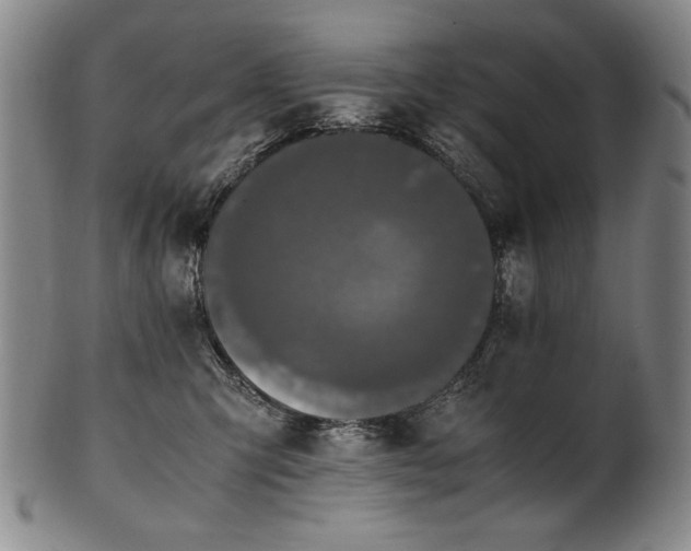 X0000102470423200808081255