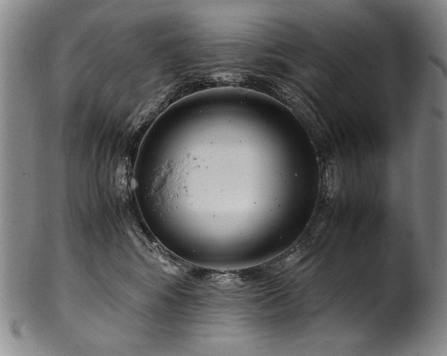 X0000102470424200808081255