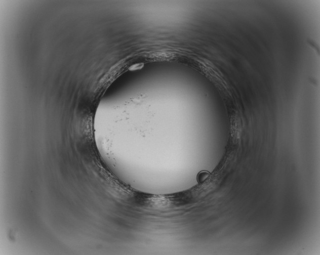 X0000102470425200808081255