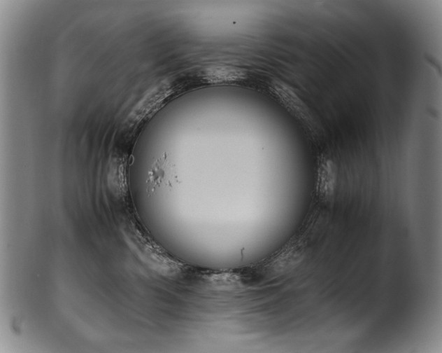 X0000102470426200808081255