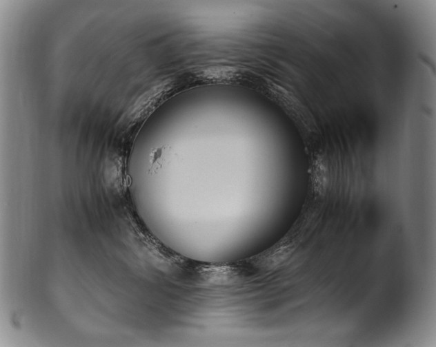 X0000102470428200808081255