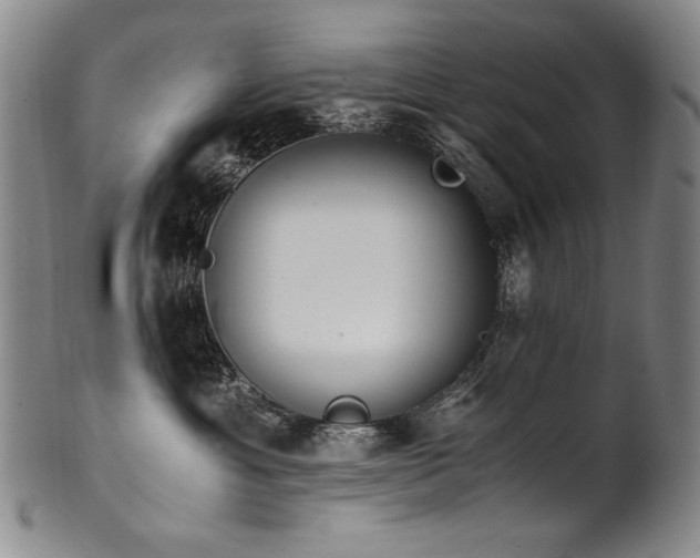 X0000102470429200808081255