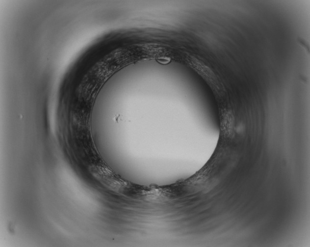 X0000102470430200808081255