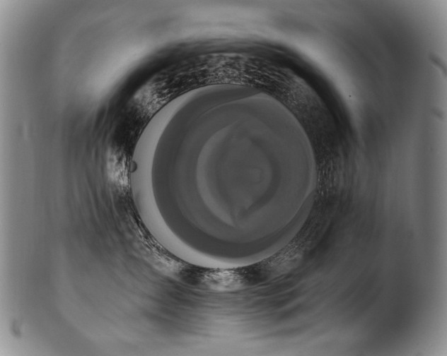 X0000102470431200808081255