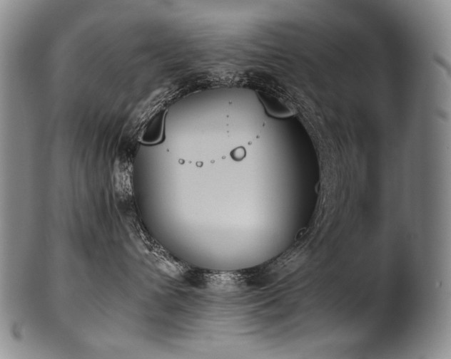 X0000102470432200808081255