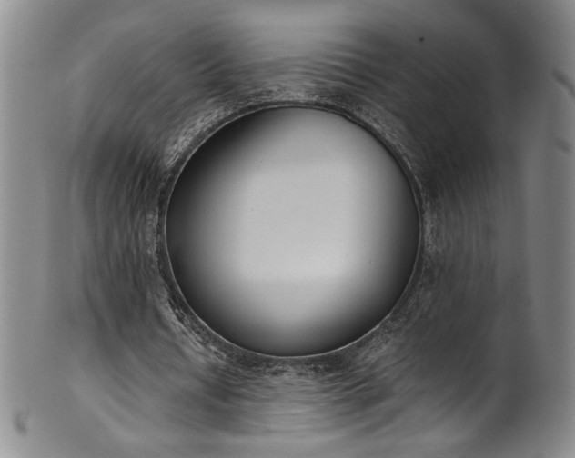 X0000102470434200808081254