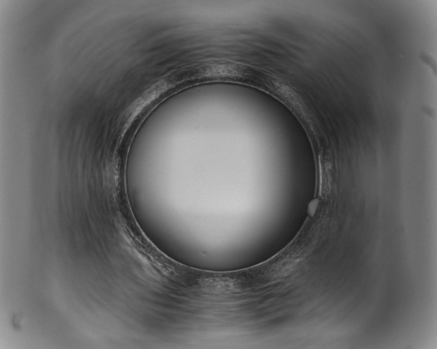 X0000102470435200808081254