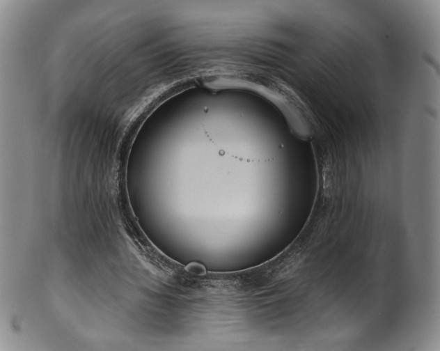 X0000102470436200808081254