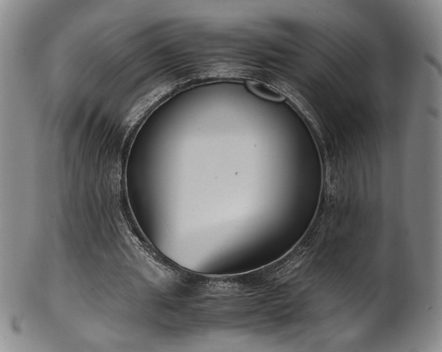 X0000102470437200808081254