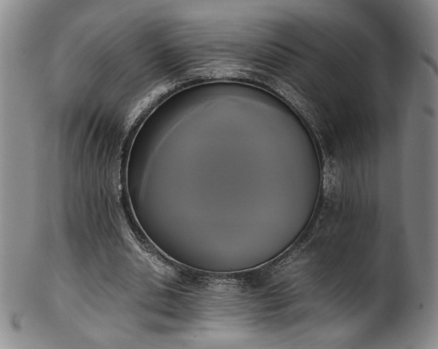 X0000102470438200808081254