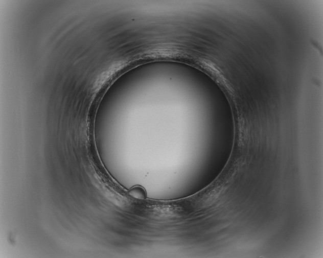 X0000102470439200808081254